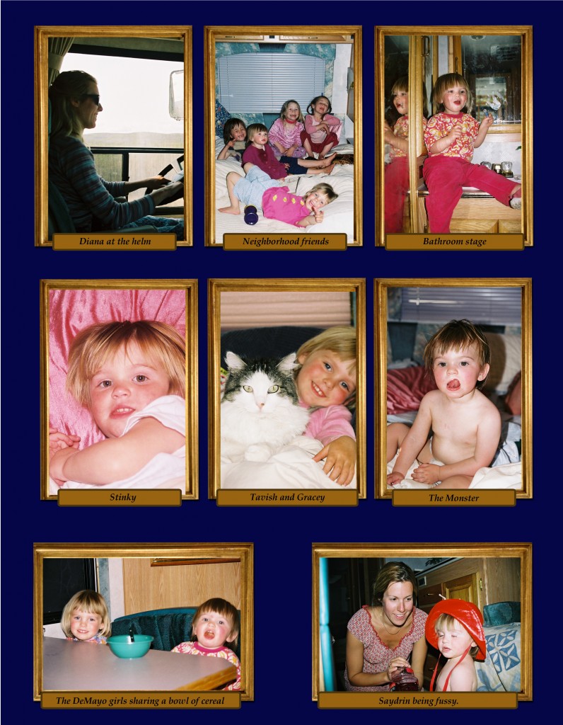 travel-the-grasshopper